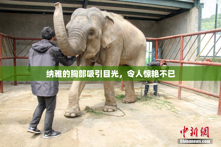 纳雅的胸部吸引目光，令人惊艳不已