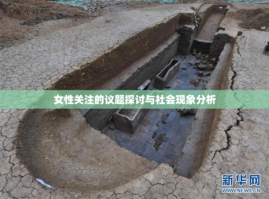 女性关注的议题探讨与社会现象分析