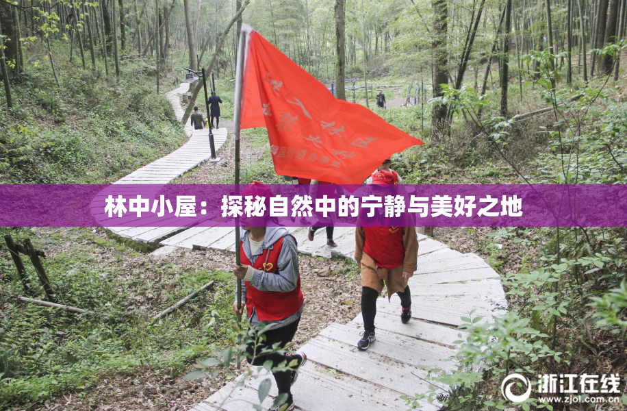 林中小屋：探秘自然中的宁静与美好之地