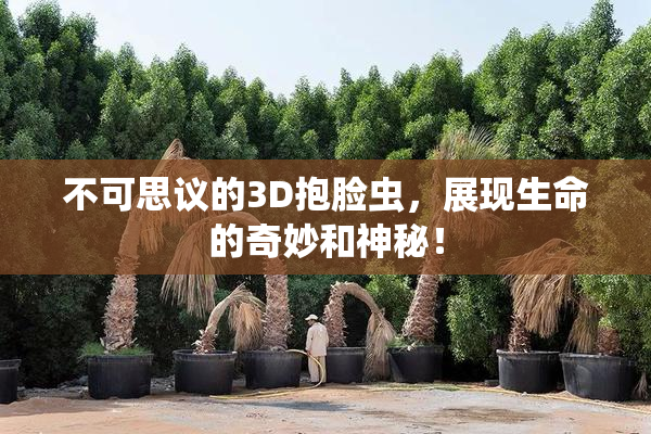 不可思议的3D抱脸虫，展现生命的奇妙和神秘！