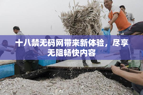 十八禁无码网带来新体验，尽享无阻畅快内容