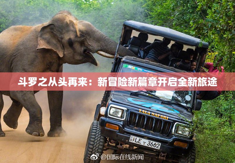 斗罗之从头再来：新冒险新篇章开启全新旅途