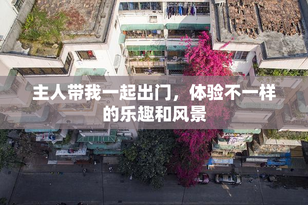 主人带我一起出门，体验不一样的乐趣和风景