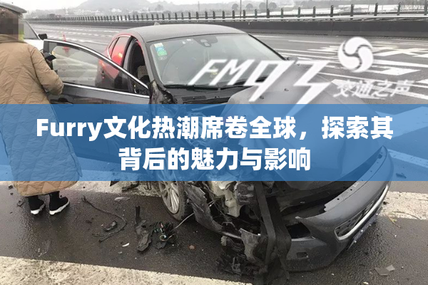 Furry文化热潮席卷全球，探索其背后的魅力与影响