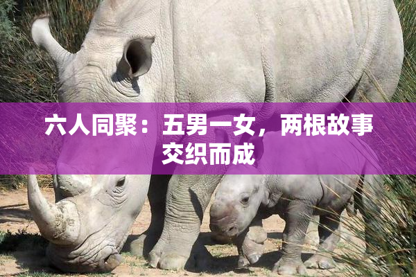 六人同聚：五男一女，两根故事交织而成