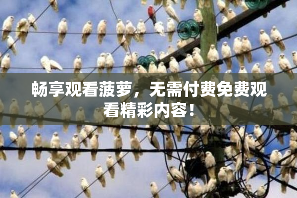 畅享观看菠萝，无需付费免费观看精彩内容！
