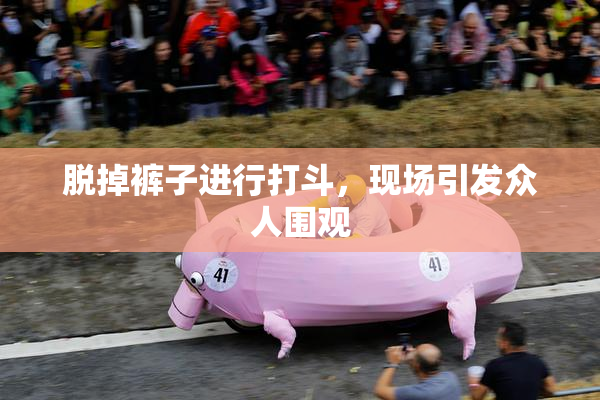 脱掉裤子进行打斗，现场引发众人围观