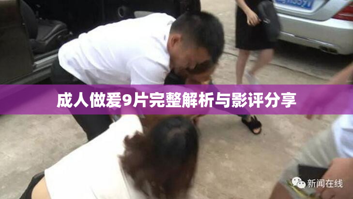 成人做爰9片完整解析与影评分享
