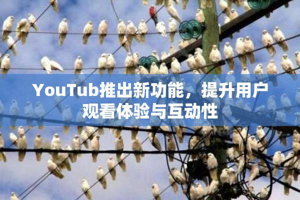 YouTub推出新功能，提升用户观看体验与互动性