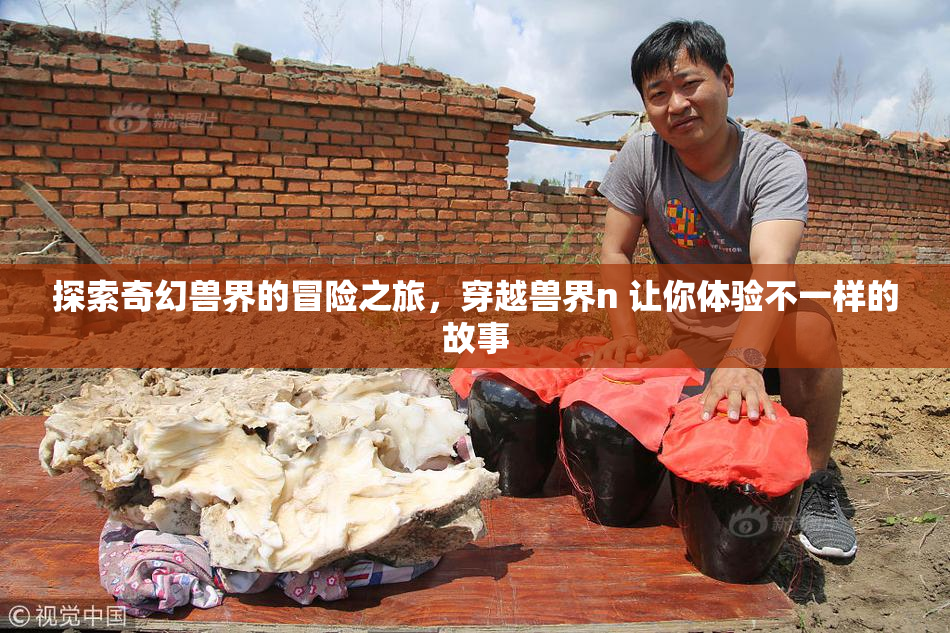 探索奇幻兽界的冒险之旅，穿越兽界n 让你体验不一样的故事