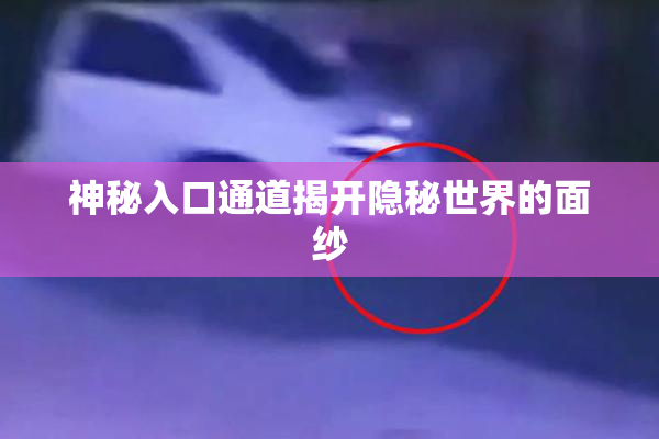 神秘入口通道揭开隐秘世界的面纱