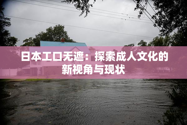 日本工口无遮：探索成人文化的新视角与现状