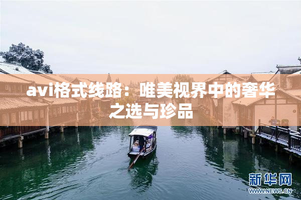 avi格式线路：唯美视界中的奢华之选与珍品