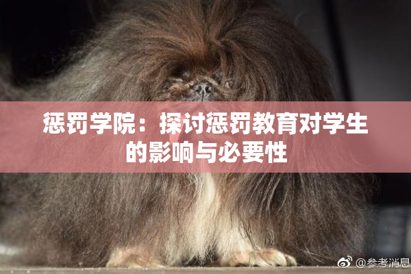 惩罚学院：探讨惩罚教育对学生的影响与必要性
