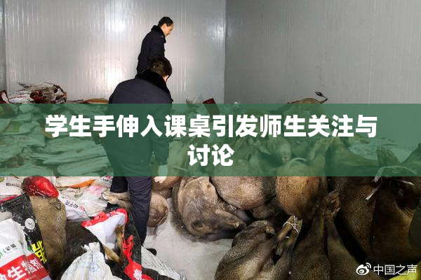 学生手伸入课桌引发师生关注与讨论
