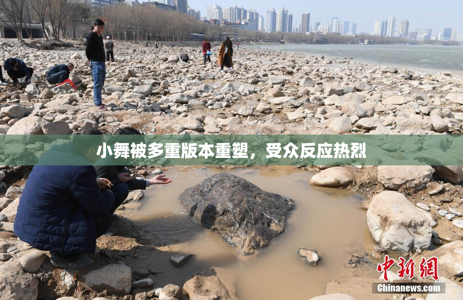 小舞被多重版本重塑，受众反应热烈