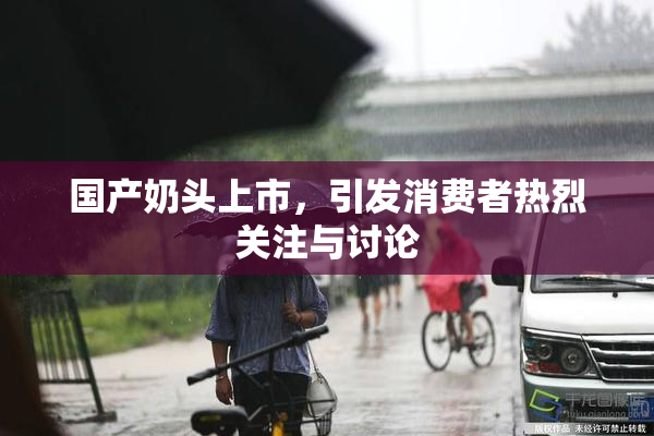 国产奶头上市，引发消费者热烈关注与讨论