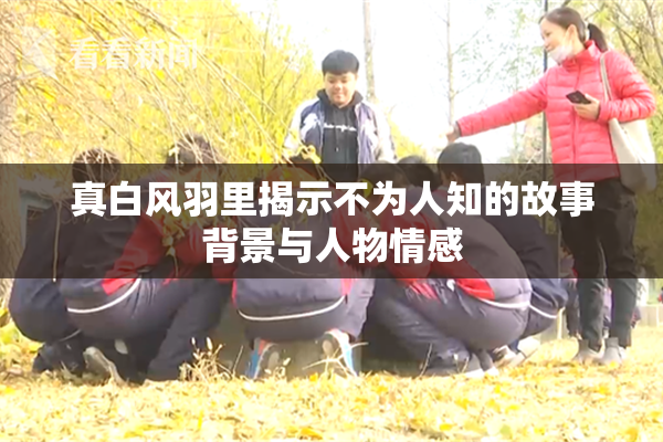 真白风羽里揭示不为人知的故事背景与人物情感