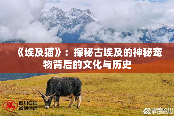 《埃及猫》：探秘古埃及的神秘宠物背后的文化与历史