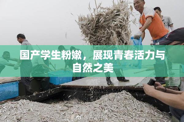 国产学生粉嫩，展现青春活力与自然之美