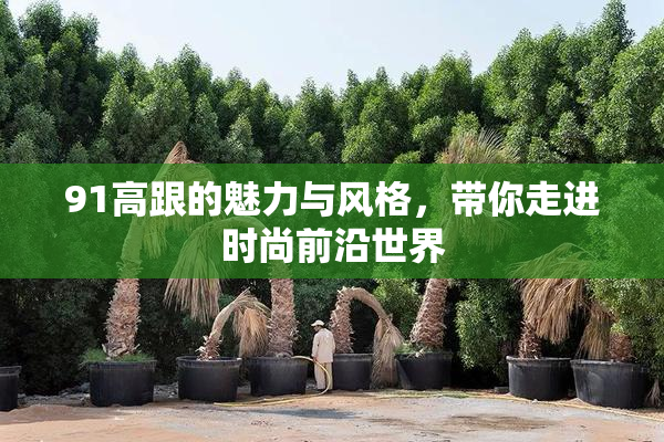 91高跟的魅力与风格，带你走进时尚前沿世界