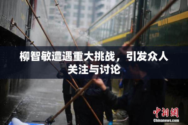 柳智敏遭遇重大挑战，引发众人关注与讨论