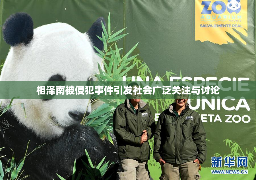 相泽南被侵犯事件引发社会广泛关注与讨论