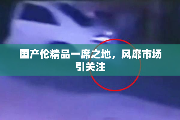 国产伦精品一席之地，风靡市场引关注