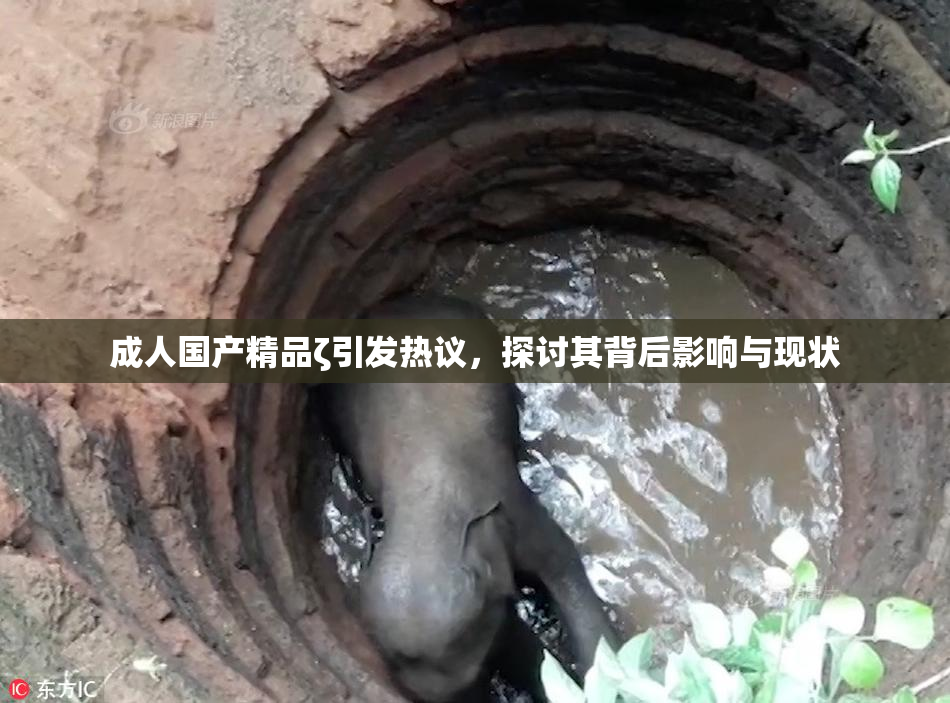 成人国产精品ζ引发热议，探讨其背后影响与现状