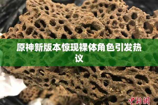 原神新版本惊现裸体角色引发热议