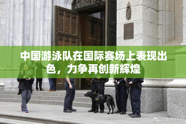 中国游泳队在国际赛场上表现出色，力争再创新辉煌