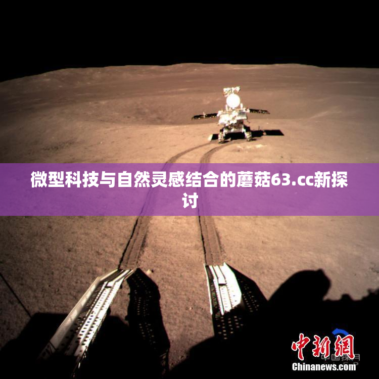 微型科技与自然灵感结合的蘑菇63.㏄新探讨