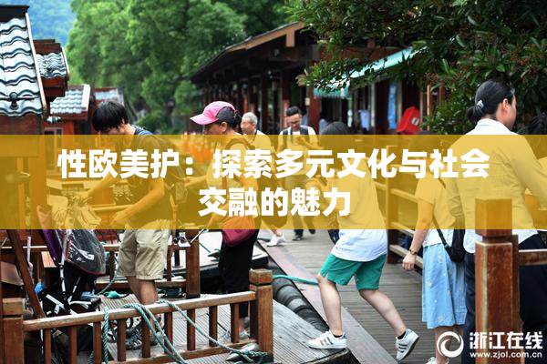性欧美护：探索多元文化与社会交融的魅力