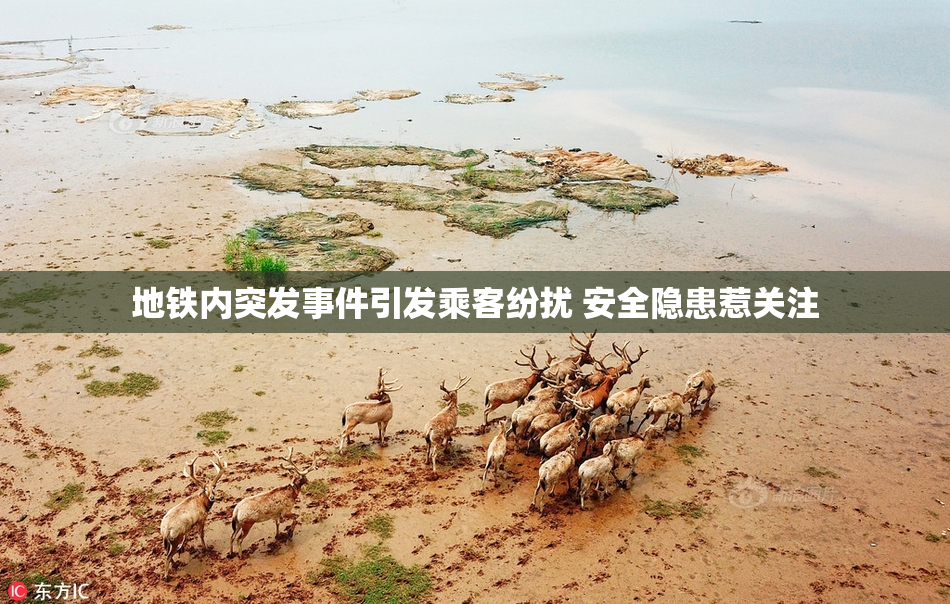 地铁内突发事件引发乘客纷扰 安全隐患惹关注