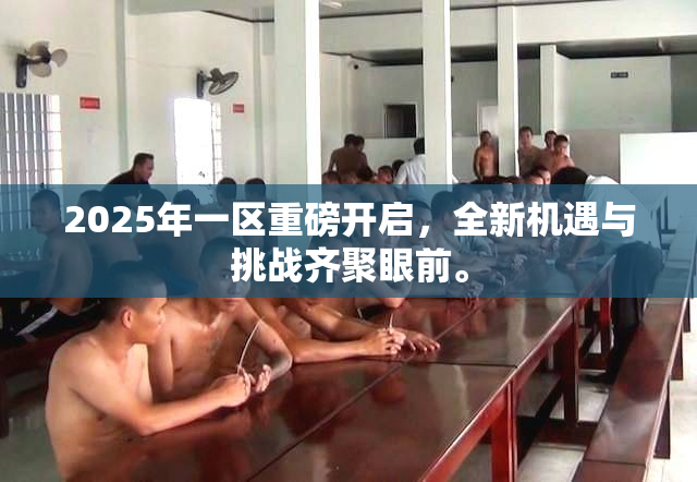 2025年一区重磅开启，全新机遇与挑战齐聚眼前。