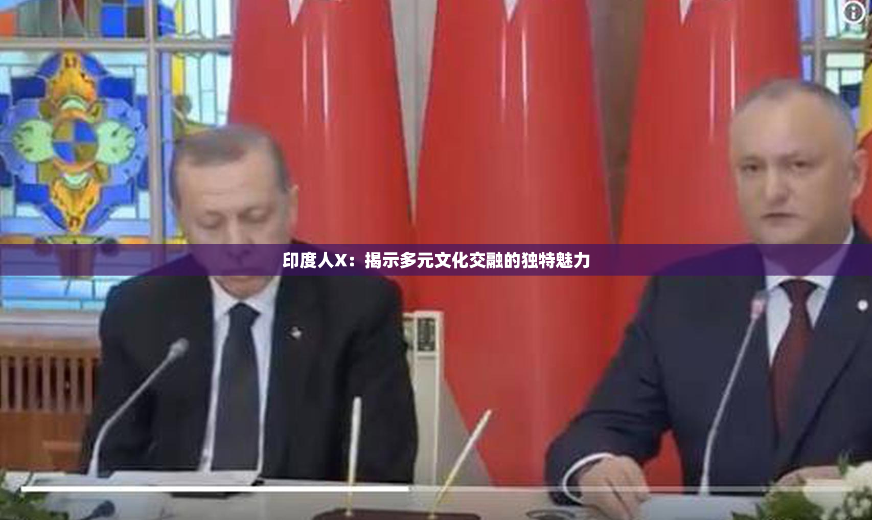 印度人X：揭示多元文化交融的独特魅力