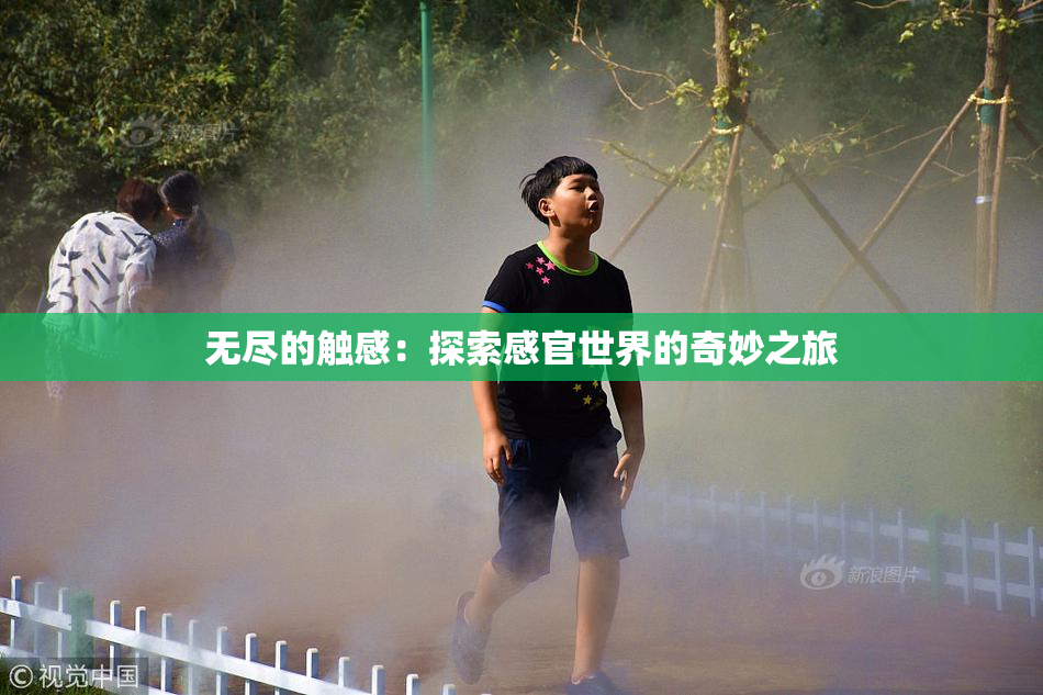 无尽的触感：探索感官世界的奇妙之旅