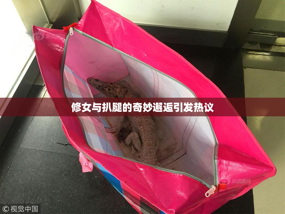 修女与扒腿的奇妙邂逅引发热议
