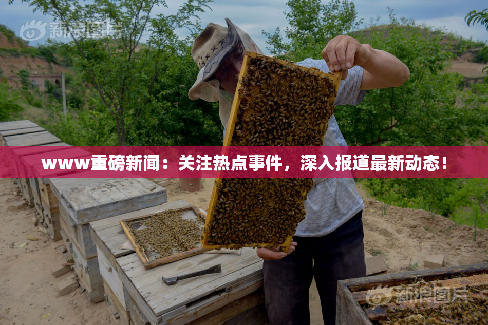 www重磅新闻：关注热点事件，深入报道最新动态！