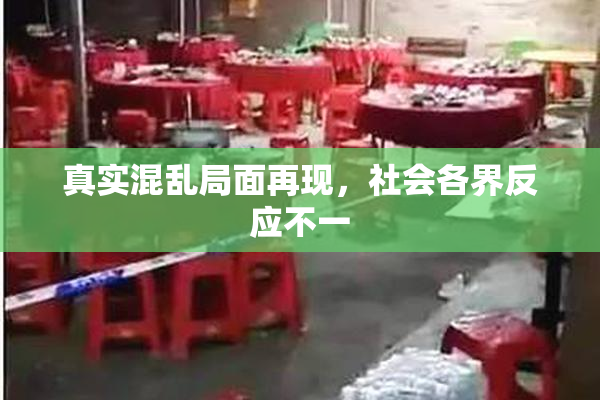 真实混乱局面再现，社会各界反应不一