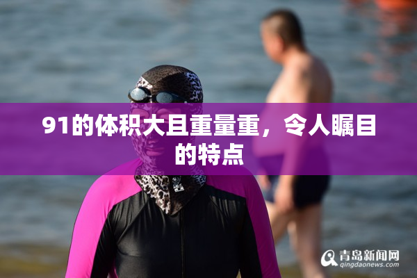 91的体积大且重量重，令人瞩目的特点