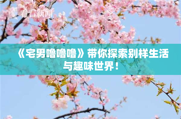 《宅男噜噜噜》带你探索别样生活与趣味世界！