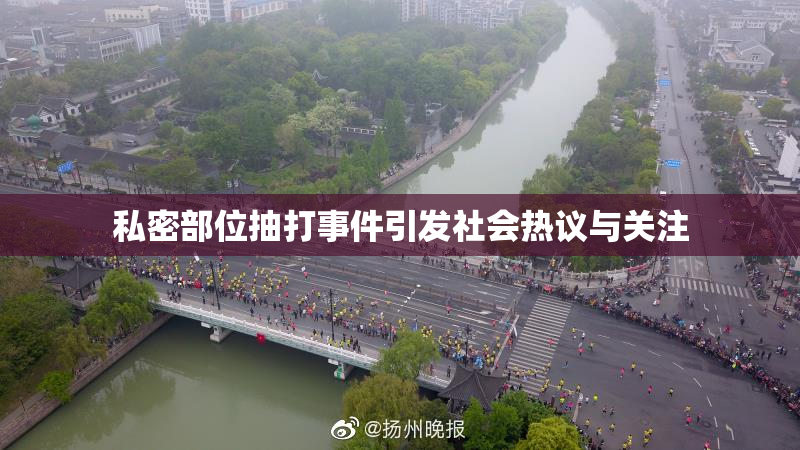 私密部位抽打事件引发社会热议与关注