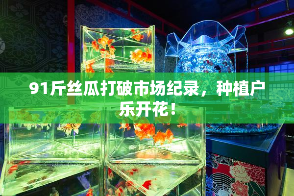 91斤丝瓜打破市场纪录，种植户乐开花！