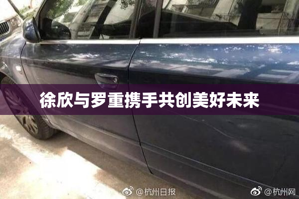 徐欣与罗重携手共创美好未来