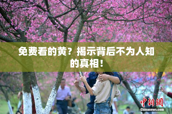 免费看的黄？揭示背后不为人知的真相！