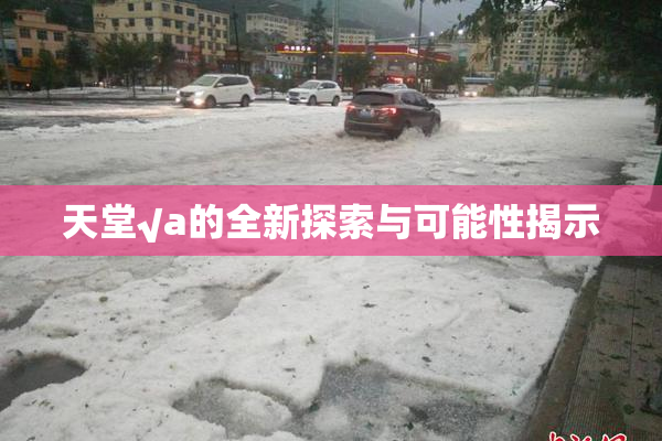 天堂√a的全新探索与可能性揭示