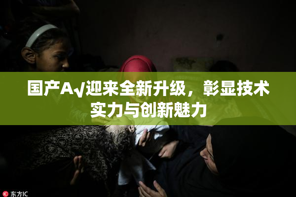 国产A√迎来全新升级，彰显技术实力与创新魅力