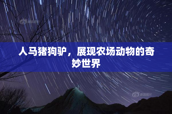 人马猪狗驴，展现农场动物的奇妙世界