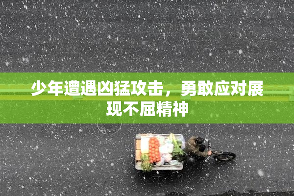 少年遭遇凶猛攻击，勇敢应对展现不屈精神